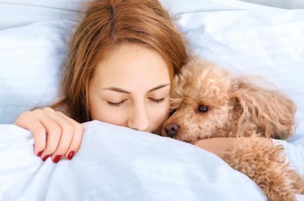 CÃ£es e doenÃ§as que afetam humanos